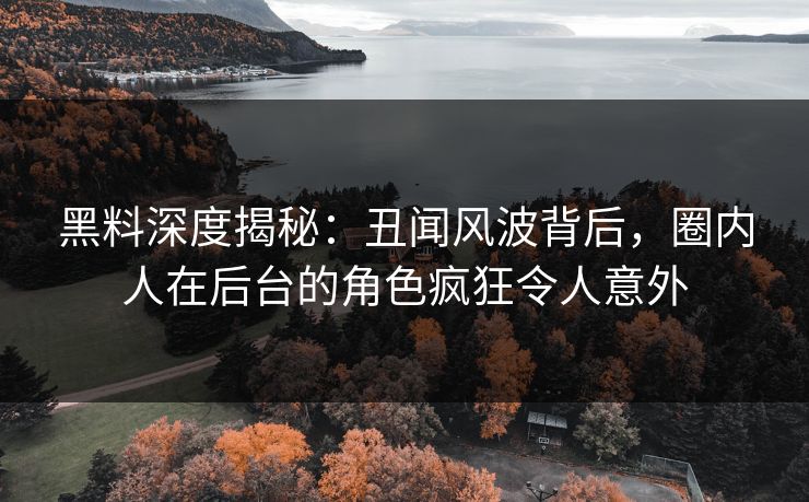 黑料深度揭秘：丑闻风波背后，圈内人在后台的角色疯狂令人意外