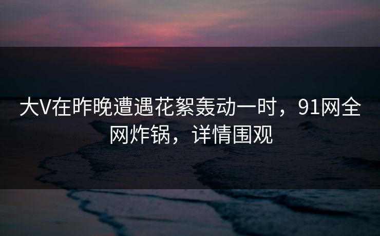 大V在昨晚遭遇花絮轰动一时，91网全网炸锅，详情围观  第1张