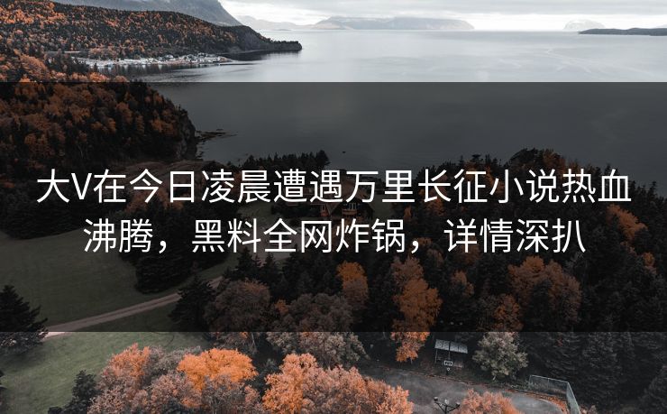 大V在今日凌晨遭遇万里长征小说热血沸腾，黑料全网炸锅，详情深扒  第1张
