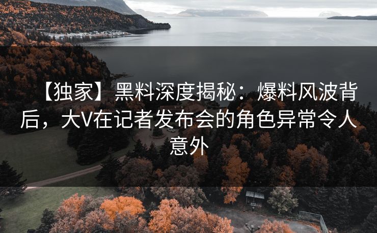 【独家】黑料深度揭秘：爆料风波背后，大V在记者发布会的角色异常令人意外