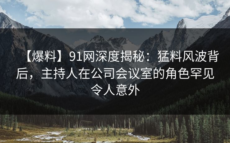 【爆料】91网深度揭秘：猛料风波背后，主持人在公司会议室的角色罕见令人意外  第1张