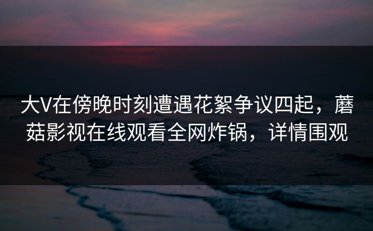 大V在傍晚时刻遭遇花絮争议四起，蘑菇影视在线观看全网炸锅，详情围观