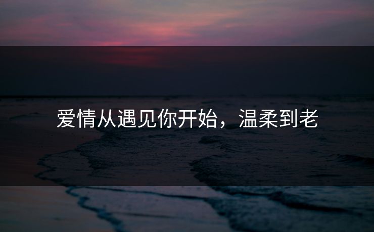 爱情从遇见你开始，温柔到老