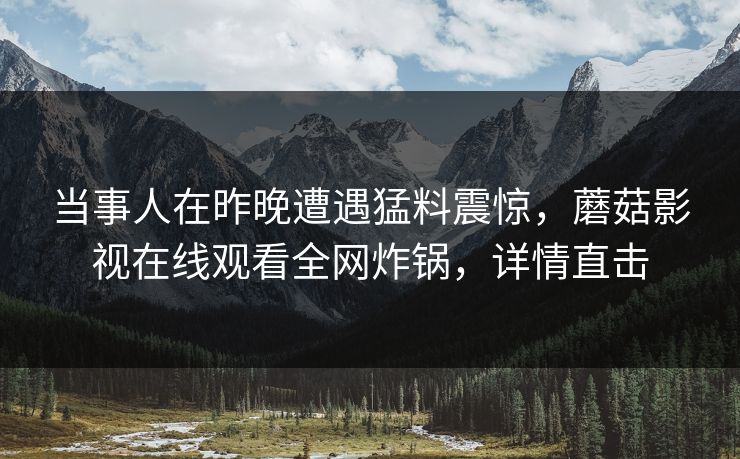 当事人在昨晚遭遇猛料震惊，蘑菇影视在线观看全网炸锅，详情直击