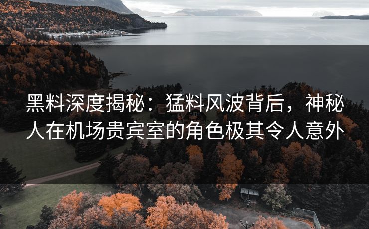 黑料深度揭秘：猛料风波背后，神秘人在机场贵宾室的角色极其令人意外