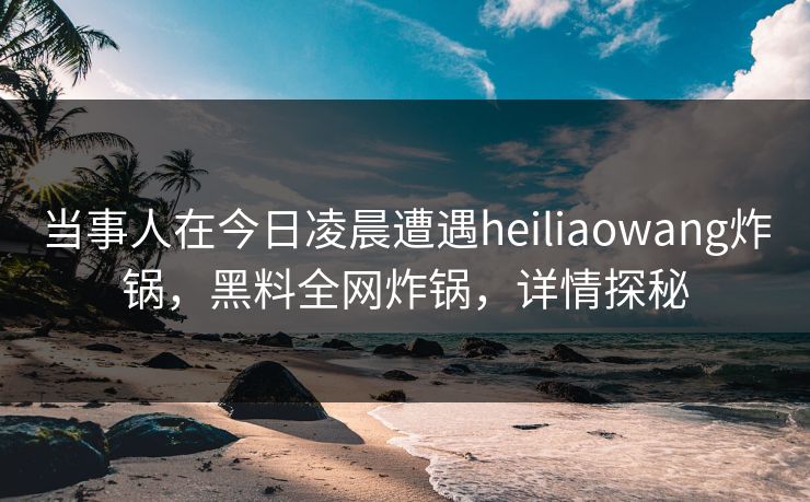 当事人在今日凌晨遭遇heiliaowang炸锅，黑料全网炸锅，详情探秘