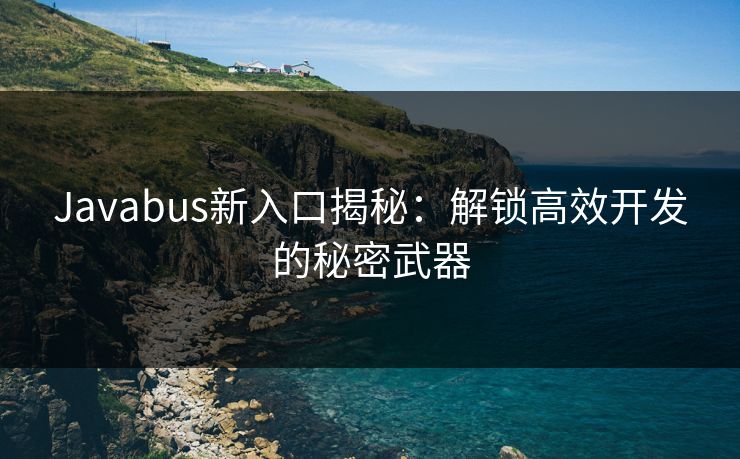 Javabus新入口揭秘：解锁高效开发的秘密武器