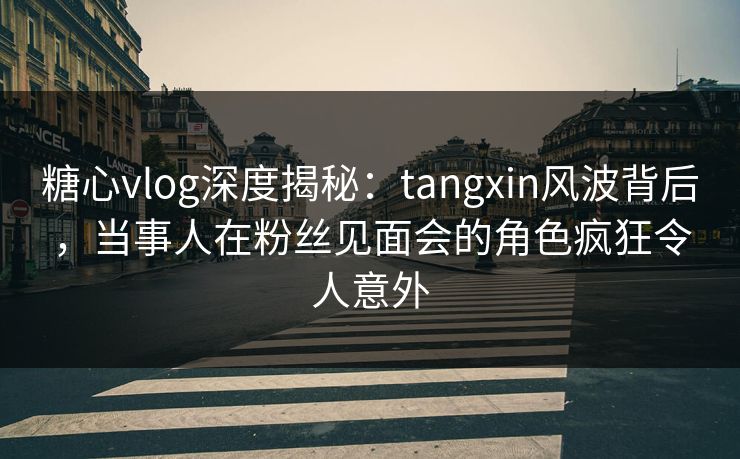 糖心vlog深度揭秘:tangxin风波背后,当事人在粉丝见面会的角色疯狂令人意外