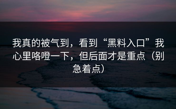 我真的被气到，看到“黑料入口”我心里咯噔一下，但后面才是重点（别急着点）