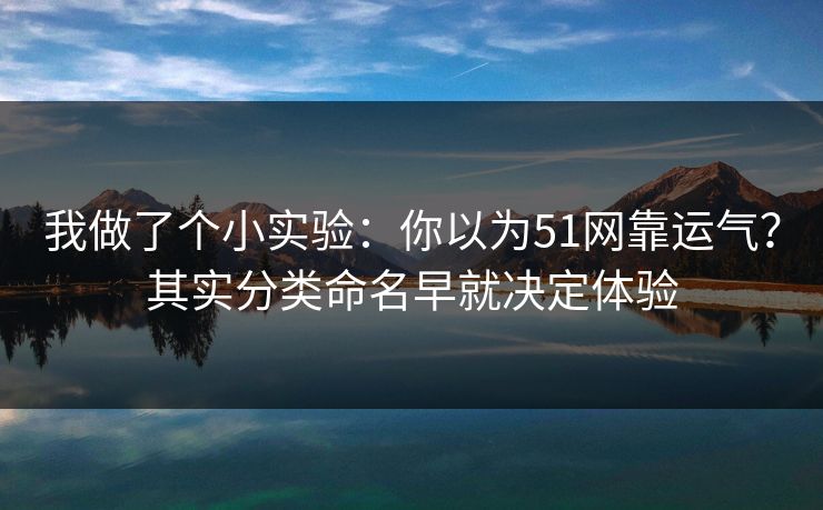 我做了个小实验：你以为51网靠运气？其实分类命名早就决定体验  第1张